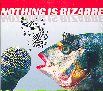 NOTHING IS BIZARRE