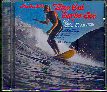 WIPE OUT, SURFER JOE AND OTHER GREAT HITS