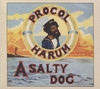 A SALTY DOG (DELUXE EDITION)